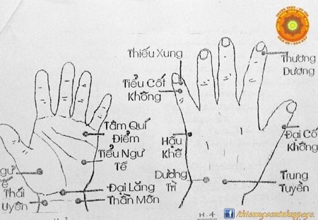 Ấn 5 đầu ngón tay tự kiểm tra sức khỏe các cơ quan nội tạng